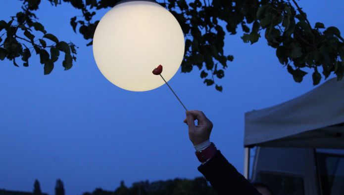 "Vollmond" in der Birnbaumreihe