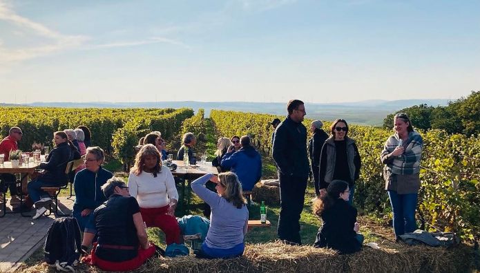 Wein Picknick Hiwweltour Aulheimer Tal