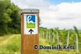Hiwweltour Aulheimer Tal - Foto von Dominik Ketz