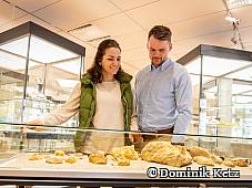 Vitrine Museum Alzey