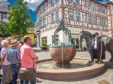 Das Schönste von Alzey Rossmarkt