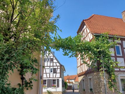 Albig - Ein rheinhessiches Dorf