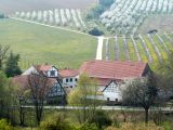Geistermühle Flohnheim