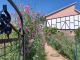 Reilchen, Kräuter und Wein in Albig