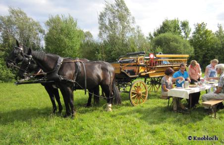 Kutschfahrt mit Picknick - Foto von Knobloch