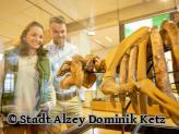 Ein Paar schaut im Museum das Skelett eines Tieres an - Foto von Stadt Alzey Dominik Ketz