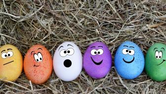 TI Alzey Eingangsbereich