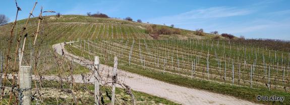 - Foto von TI Alzey