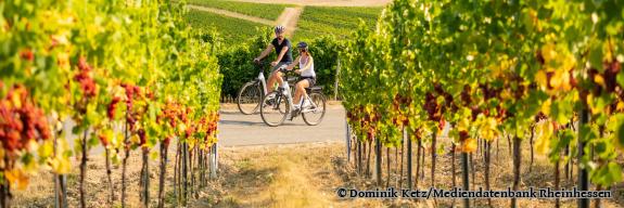 Radfahrer am Wissberg - Foto von Dominik Ketz/Mediendatenbank Rheinhessen
