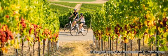 Radfahrer am Wissberg - Foto von Dominik Ketz/Mediendatenbank Rheinhessen