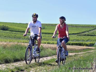 Zwei Radfahrer fahren bei schönem Wetter durch die  Weinbergen - Foto von © Uwe Feuerbach