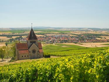 Kreuzkapelle Gau-Bickelheim inmitten von Weinbergen